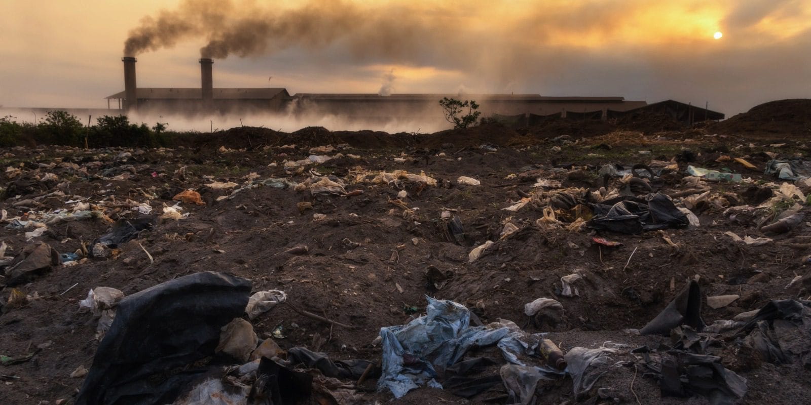 Flooring waste in landfill - the problem cork flooring solves